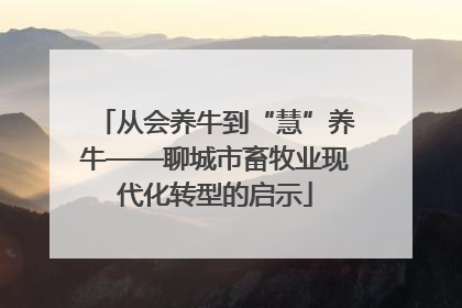 从会养牛到“慧”养牛——聊城市畜牧业现代化转型的启示
