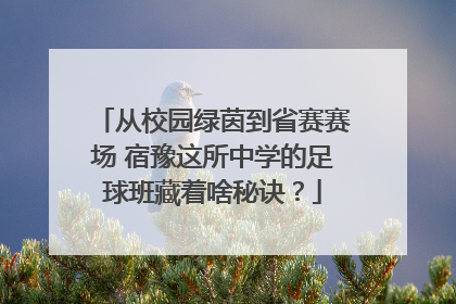 从校园绿茵到省赛赛场 宿豫这所中学的足球班藏着啥秘诀？