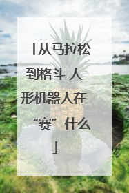从马拉松到格斗 人形机器人在“赛”什么