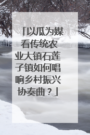 以瓜为媒 看传统农业大镇石莲子镇如何唱响乡村振兴协奏曲？