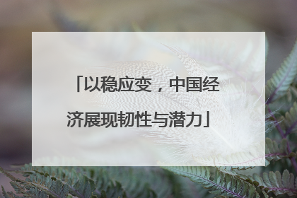 以稳应变，中国经济展现韧性与潜力