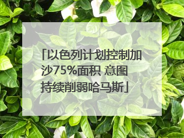 以色列计划控制加沙75%面积 意图持续削弱哈马斯