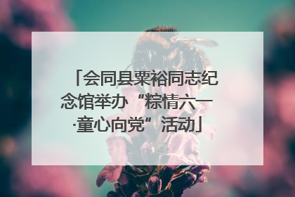 会同县粟裕同志纪念馆举办“粽情六一·童心向党”活动