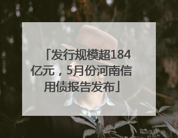 发行规模超184亿元，5月份河南信用债报告发布