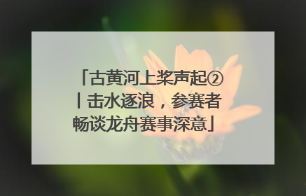 古黄河上桨声起②丨击水逐浪，参赛者畅谈龙舟赛事深意