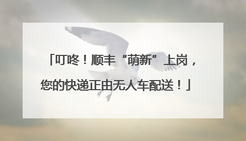 叮咚！顺丰“萌新”上岗，您的快递正由无人车配送！