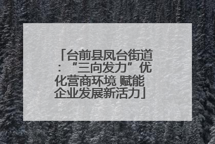 台前县凤台街道：“三向发力”优化营商环境 赋能企业发展新活力