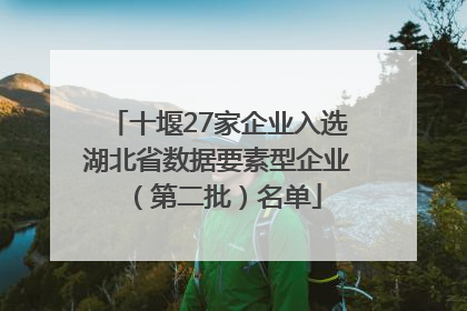 十堰27家企业入选湖北省数据要素型企业（第二批）名单