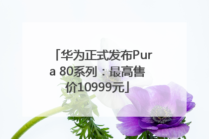 华为正式发布Pura 80系列：最高售价10999元