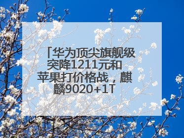 华为顶尖旗舰级突降1211元和苹果打价格战，麒麟9020+1TB+卫星通信！