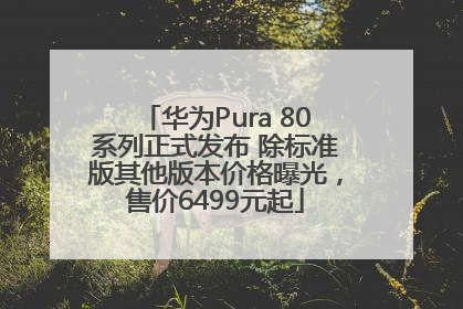 华为Pura 80系列正式发布 除标准版其他版本价格曝光，售价6499元起