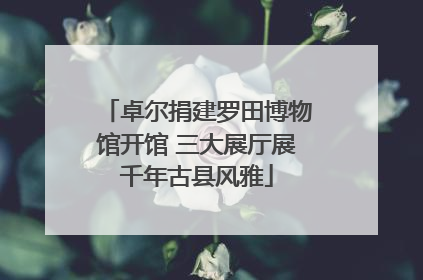 卓尔捐建罗田博物馆开馆 三大展厅展千年古县风雅