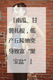 南瓜、甘薯扎根，低产丘陵地变身致富“聚宝盆”