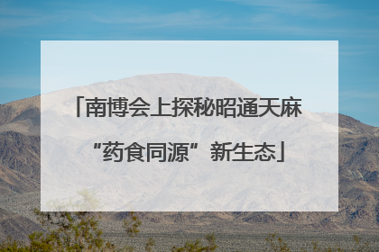 南博会上探秘昭通天麻“药食同源”新生态