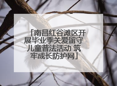 南昌红谷滩区开展毕业季关爱留守儿童普法活动 筑牢成长防护网