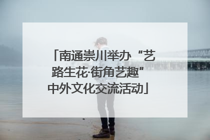 南通崇川举办“艺路生花·街角艺趣”中外文化交流活动