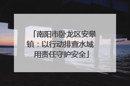 南阳市卧龙区安皋镇：以行动排查水域 用责任守护安全