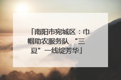 南阳市宛城区：巾帼助农服务队 “三夏”一线绽芳华