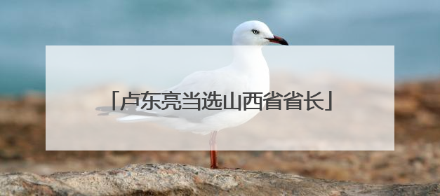 卢东亮当选山西省省长
