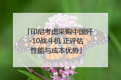 印尼考虑采购中国歼-10战斗机 正评估性能与成本优势