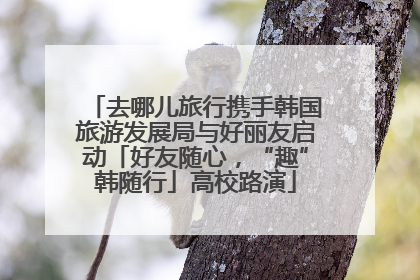 去哪儿旅行携手韩国旅游发展局与好丽友启动「好友随心，“趣”韩随行」高校路演
