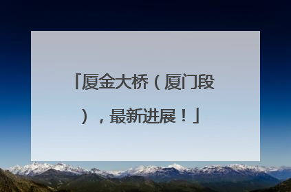 厦金大桥（厦门段），最新进展！