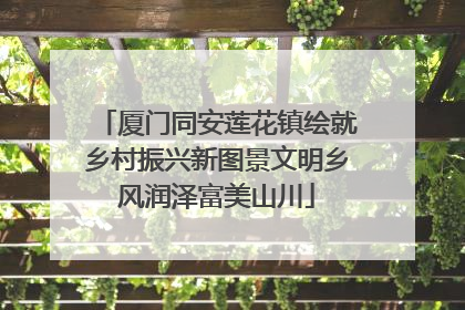 厦门同安莲花镇绘就乡村振兴新图景文明乡风润泽富美山川