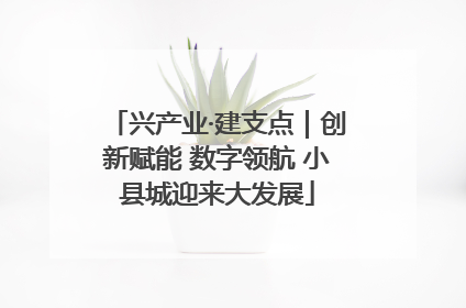 兴产业·建支点｜创新赋能 数字领航 小县城迎来大发展