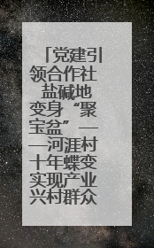 党建引领合作社 盐碱地变身“聚宝盆”——河涯村十年蝶变实现产业兴村群众富