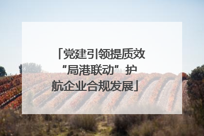 党建引领提质效 “局港联动”护航企业合规发展