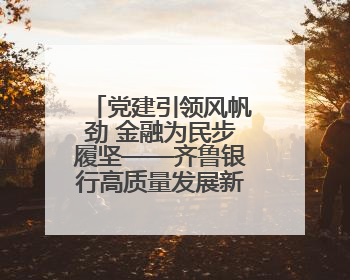 党建引领风帆劲 金融为民步履坚——齐鲁银行高质量发展新实践