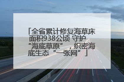 全省累计修复海草床面积938公顷 守护“海底草原”，织密海底生态“一张网”