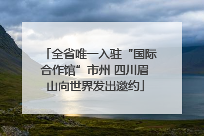 全省唯一入驻“国际合作馆”市州 四川眉山向世界发出邀约