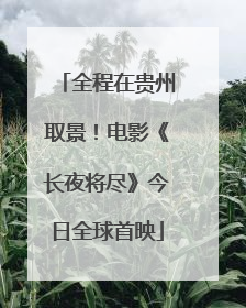 全程在贵州取景！电影《长夜将尽》今日全球首映