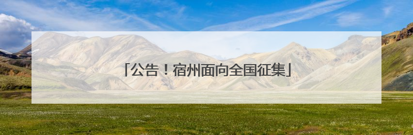 公告！宿州面向全国征集