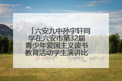 六安九中孙宇轩同学在六安市第32届青少年爱国主义读书教育活动学生演讲比赛中荣获一等奖