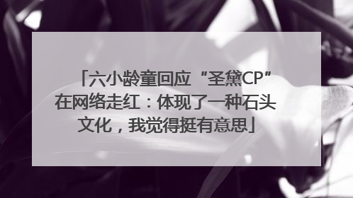 六小龄童回应“圣黛CP”在网络走红：体现了一种石头文化，我觉得挺有意思