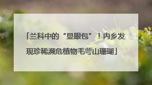 兰科中的“显眼包”！内乡发现珍稀濒危植物毛萼山珊瑚