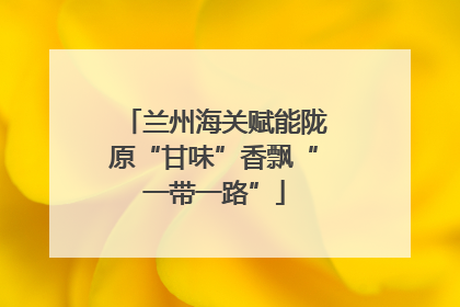 兰州海关赋能陇原“甘味”香飘“一带一路”