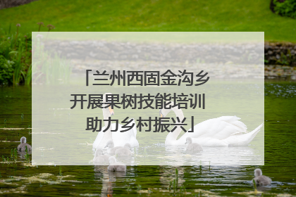 兰州西固金沟乡开展果树技能培训 助力乡村振兴