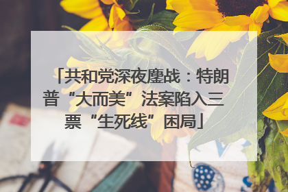 共和党深夜鏖战：特朗普“大而美”法案陷入三票“生死线”困局
