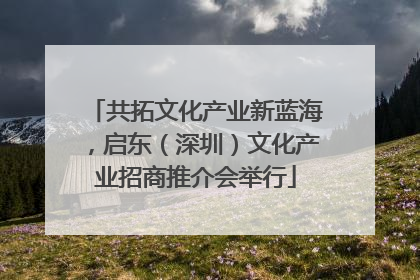 共拓文化产业新蓝海，启东（深圳）文化产业招商推介会举行