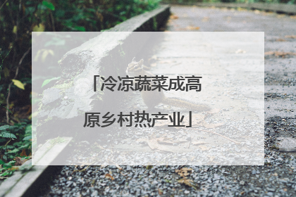 冷凉蔬菜成高原乡村热产业