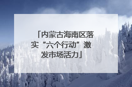 内蒙古海南区落实“六个行动”激发市场活力