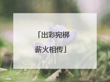 出彩宛梆 薪火相传