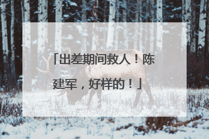 出差期间救人！陈建军，好样的！