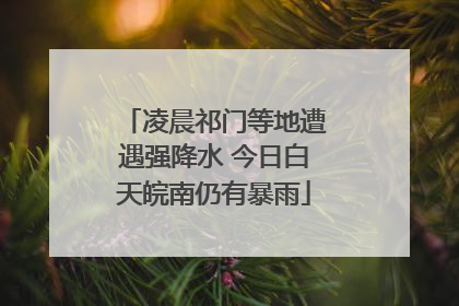 凌晨祁门等地遭遇强降水 今日白天皖南仍有暴雨