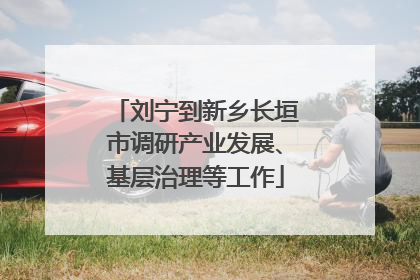 刘宁到新乡长垣市调研产业发展、基层治理等工作