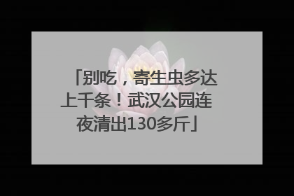 别吃，寄生虫多达上千条！武汉公园连夜清出130多斤