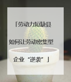 劳动力短缺县 如何让劳动密集型企业“逆袭”